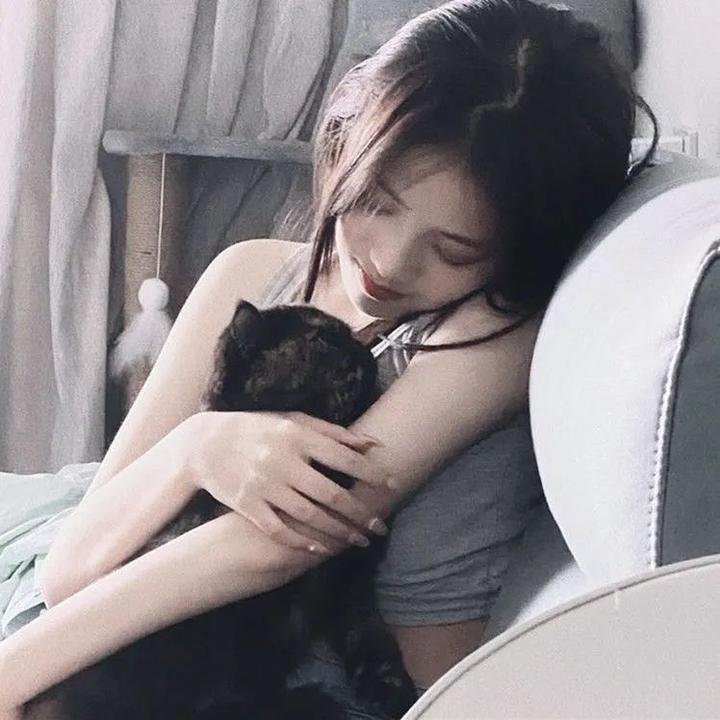 汪汪忠臣藏