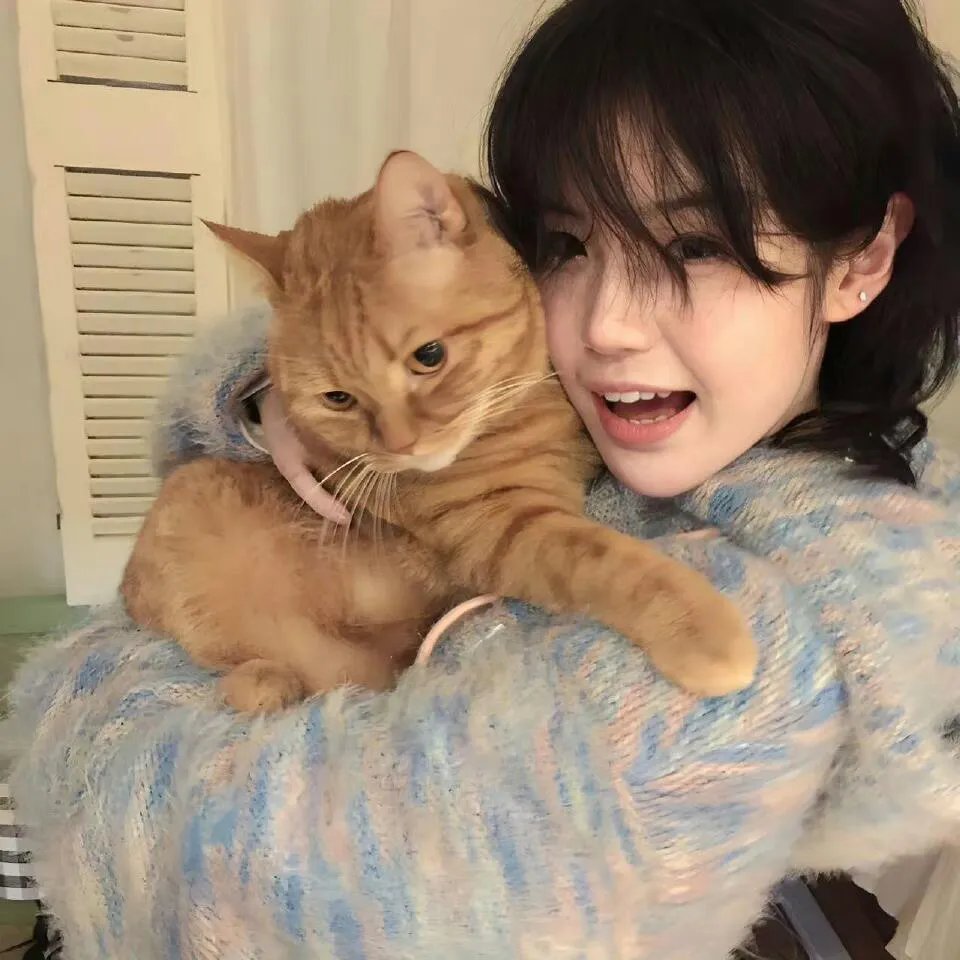 最短的距离是圆的