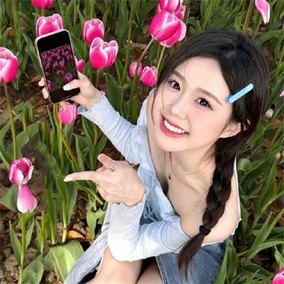 海豚之眼
